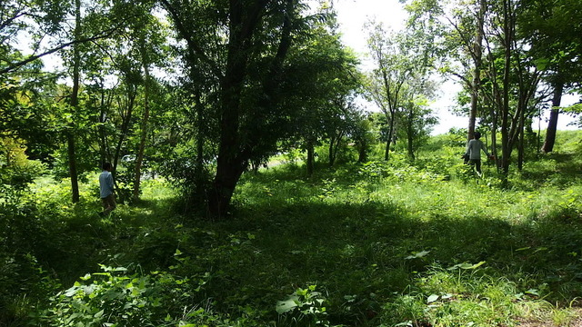 2017-08-18 11.47.25.jpg