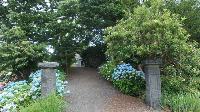 2018-07-23 09.08.38.jpg